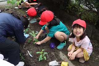 0527vegetable2nd10