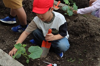 0527vegetable2nd13