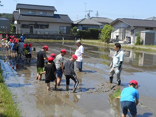 0606taue4