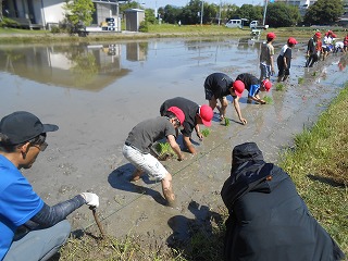 0606taue6