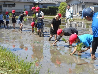 0606taue9