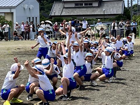 go6
